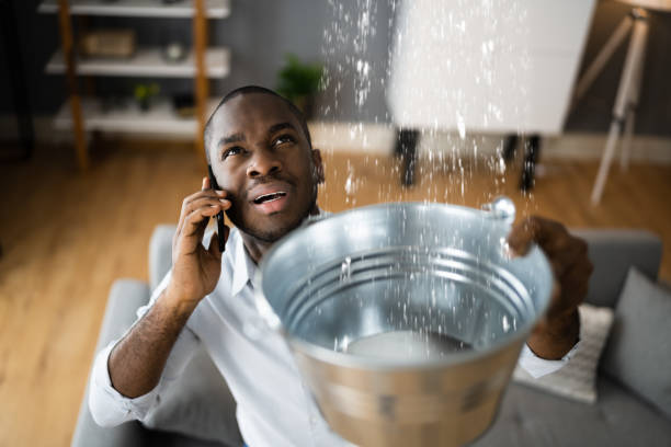 Water damage restoration experts in IN