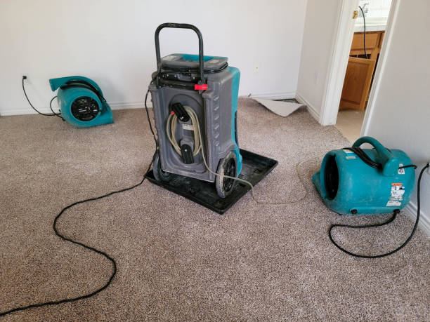 Best Water damage restoration company  in Trafalgar, IN