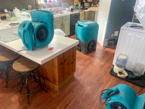  Trafalgar, IN Water damage restoration Pros
