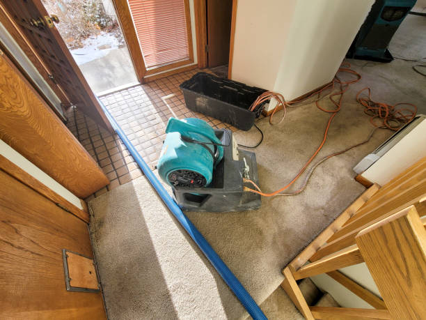 Best Water damage restoration near me  in Trafalgar, IN