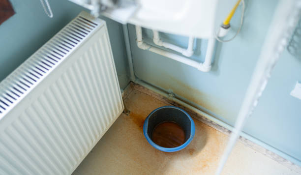 Best Water damage cleanup near me  in Trafalgar, IN