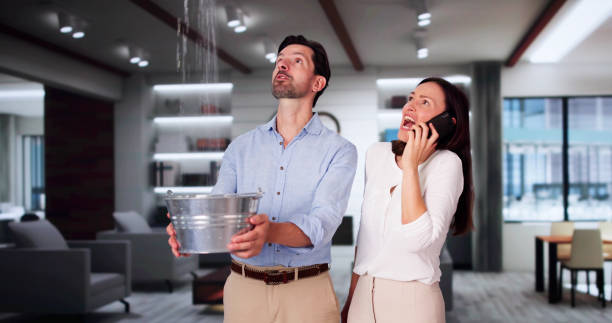 Best Local water damage restoration  in Trafalgar, IN