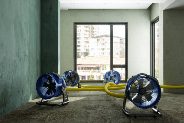 Best Water damage restoration near me  in Trafalgar, IN