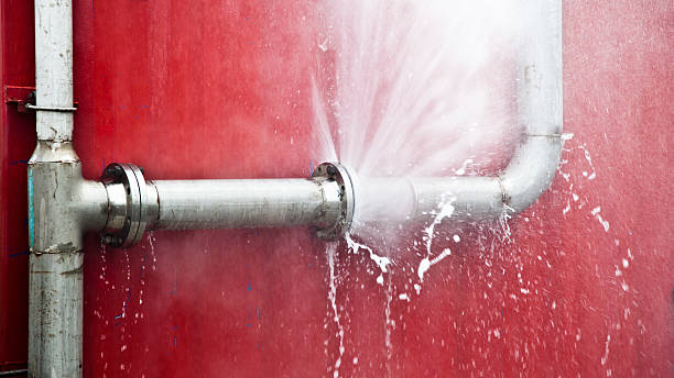 Best Fire Damage Restoration  in Trafalgar, IN