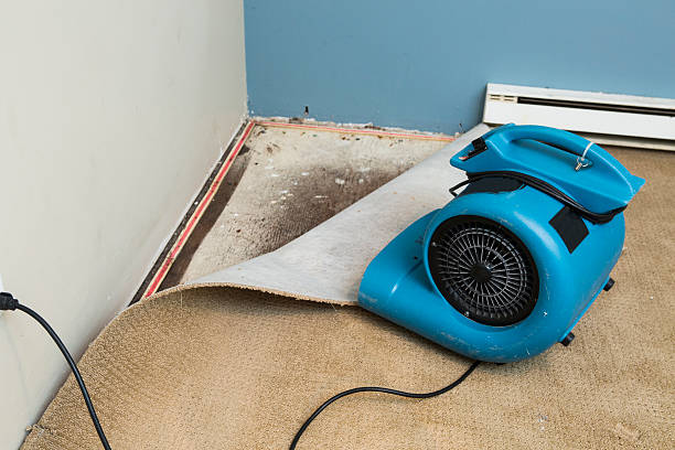 Best 24/7 water damage repair  in Trafalgar, IN